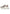 W6YZ Sneaker Donna 2019468 MIA W