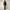 SAVE THE DUCK hooded parka Uomo P38160M-SMEG21 ANTOINE