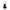 Steve Madden chanel Donna ALCHEMY