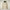 SAVE THE DUCK HOODED JACKET Uomo P32292M-COTO21 ENZO