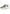 W6YZ Sneaker Donna 2019468 MIA W