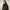 SAVE THE DUCK hooded parka Uomo P38160M-SMEG21 ANTOINE