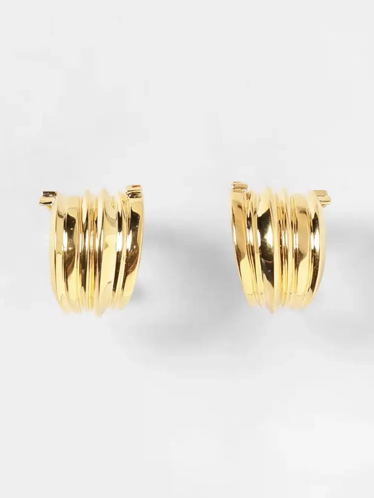 ELISABETTA FRANCHI orecchini Donna OR02A61E2