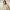 SAVE THE DUCK HOODED JACKET Uomo P32292M-COTO21 ENZO
