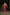 ANIYE BY ABITO Donna 185123105P6