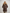 BLAUER Giubbino lungo Donna 26WBLDK03040 KRISTIN