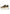 W6YZ Sneaker Donna 2019468 MIA W