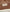 ELISABETTA FRANCHI BORSA Donna BS24A66E2