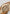 Pollini BORSA Donna SC4602PP0OSG122A