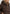 Emme Marella Imbottito corto Donna ALCA-