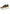 W6YZ Sneaker Donna 2019468 MIA W