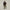 macron Long Cargo Pants Uomo 20000735