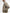 Barbour JACKET Uomo MSP0188