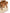 Pollini BORSA Donna SC4539PP0OSD110A