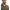 Barbour POLO Uomo MML1496