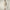 SAVE THE DUCK HOODED JACKET Uomo P32292M-COTO21 ENZO