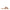 Steve Madden Sandalo Donna ZAIRA
