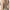 ELISABETTA FRANCHI abito Donna AB75951E2