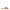 Steve Madden Sandalo Donna ZAIRA