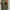 macron Long Cargo Pants Uomo 20000735