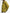Barbour JACKET Uomo MCA1093