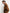 Emme Marella Giacca in Jersey Donna DOMINO-