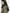 Barbour Giubbotto Donna LSP0307