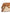 Pollini BORSA Donna SC4538PP0OSD110A